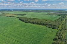 2,097 Acres | Rose Prairie Farmland | Northern BC - Photo 7