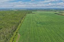 2,097 Acres | Rose Prairie Farmland | Northern BC - Photo 8