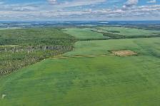 2,097 Acres | Rose Prairie Farmland | Northern BC - Photo 9