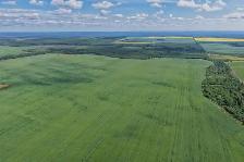 2,097 Acres | Rose Prairie Farmland | Northern BC - Photo 10