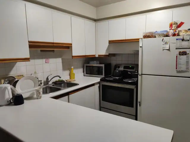 Room for Rent $800