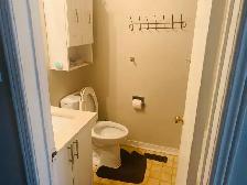 Room for Rent $800 - Photo 3