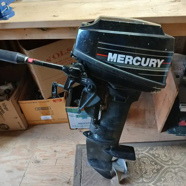 Fishing Boat and 9.9 Mercury FS