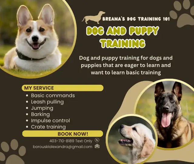 Basic dog training. Please read the full AD