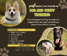 Basic dog training. Please read the full AD