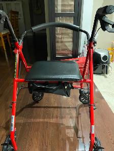 Roller Walker and Stick - Photo 2