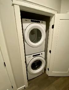2-Bedroom Basement Suite - Photo 7
