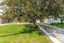 2 Large BR, 2 Washrooms, Legal Basement for Rent In Brampton - Photo 5