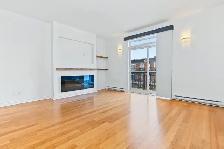 1 Bedroom Condo for Rent – Bois-Franc / Saint-Laurent - Photo 3