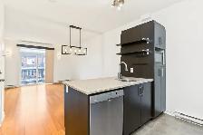 1 Bedroom Condo for Rent – Bois-Franc / Saint-Laurent - Photo 6