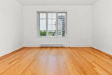 1 Bedroom Condo for Rent – Bois-Franc / Saint-Laurent - Photo 8