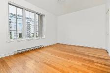 1 Bedroom Condo for Rent – Bois-Franc / Saint-Laurent - Photo 9