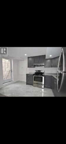 2 Bedroom Basement
