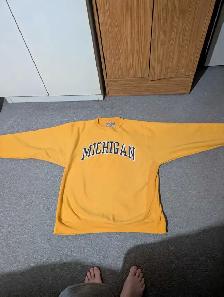 Steve and Barry's Michigan Sweatshirt