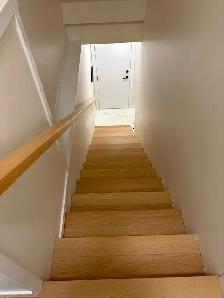 Basement suite for Rent in Riversdale