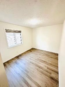 detached house for rent from oct 1st - Photo 7