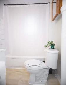 Bright, Spacious, Welcoming 4 Bedroom Home - Photo 13