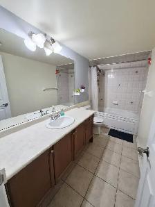 1 Bdrm Apt - StClair & Midland- 2 Mins from Scarb.Go-1540 ALL IN - Photo 2