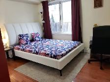 1 Bdrm Apt - StClair & Midland- 2 Mins from Scarb.Go-1540 ALL IN - Photo 5