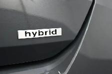 2024 Hyundai Elantra Luxury Hybrid Leather, Sunroof, Heated Seat - Photo 19