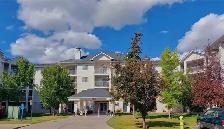 Condo for rent