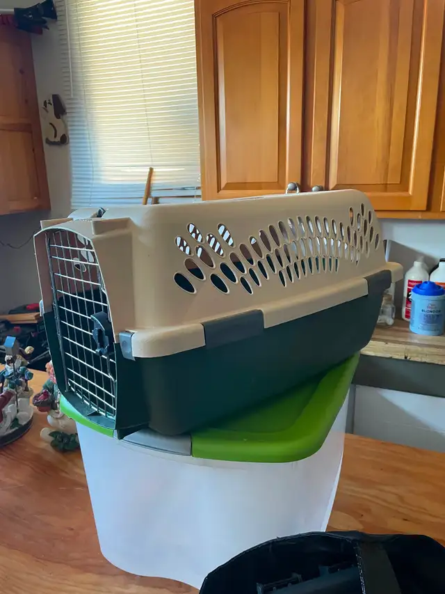 Pet carrier