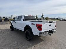 2023 Ford F-150 XLT / LEVELED! / 6.5FT BOX! / 3.5L ECOBOOST! - Photo 5