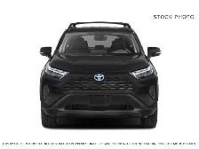 2025 Toyota RAV4 - Photo 2