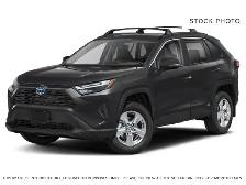 2025 Toyota RAV4 - Photo 3