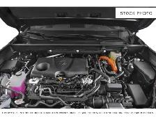 2025 Toyota RAV4 - Photo 6