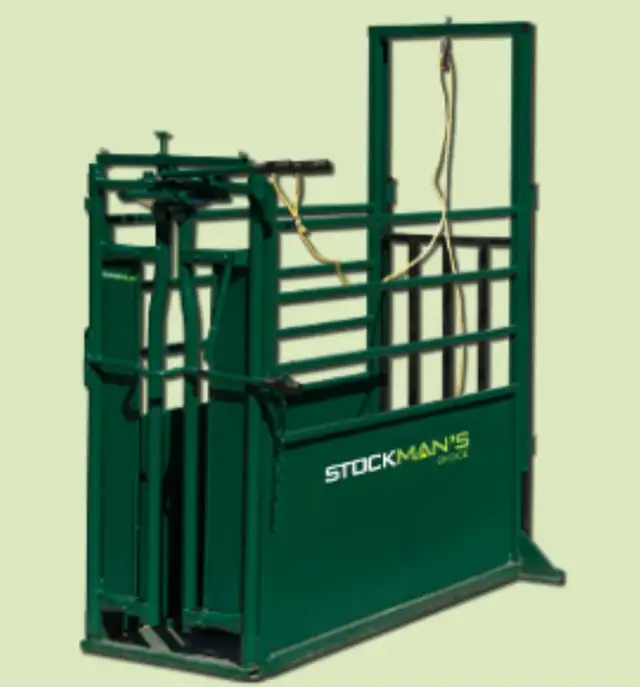 Calf Processing Chute