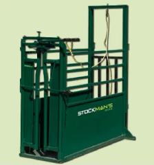 Calf Processing Chute