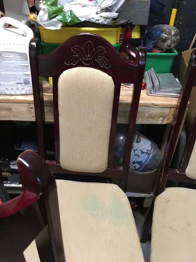 Beautiful dinning room chairs