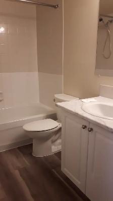 2 BEDROOM CONDO – 1ST FLOOR, NO CARPET – STONY PLAIN – $1,350 - Photo 4