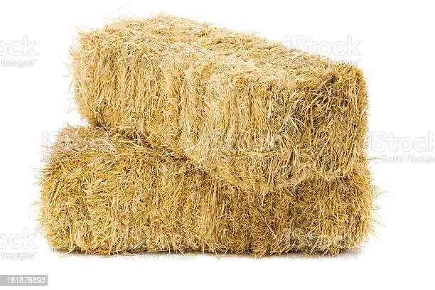 Straw for sale