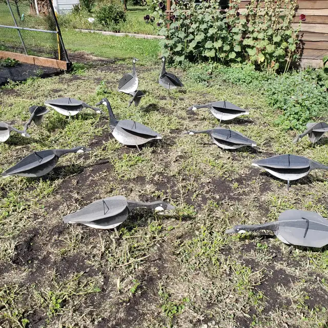 Goose Decoys