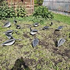 Goose Decoys - Photo 2