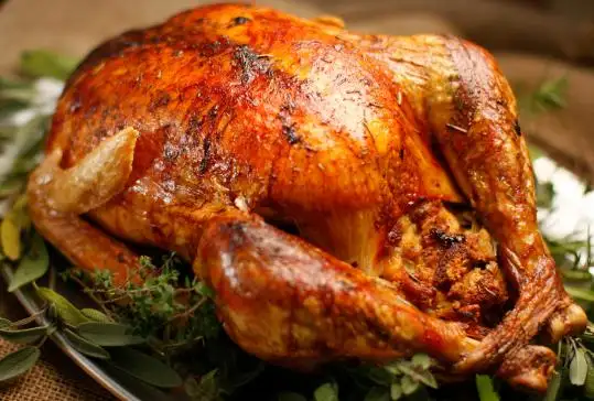 Fresh Pastured Raised Thanksgiving turkeys