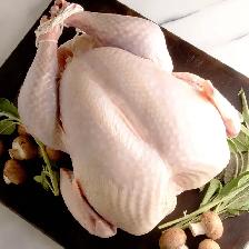 Fresh Pastured Raised Thanksgiving turkeys - Photo 2