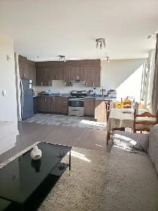 2 beds/2baths Ottawa - Photo 2