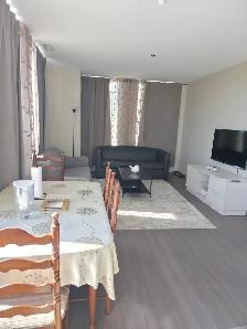 2 beds/2baths Ottawa - Photo 3