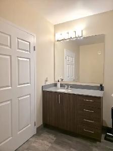2 beds/2baths Ottawa - Photo 6