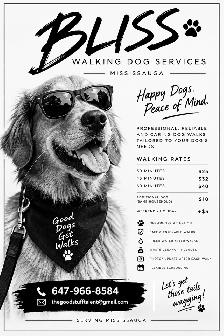 Bliss Dog Walking Services