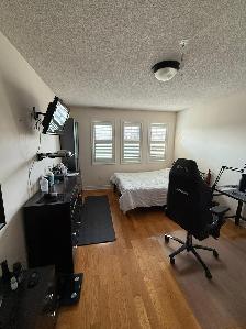 Furnished Large, Clean Bdrm for Rent. $950/month ALL INCLUSIVE - Photo 9