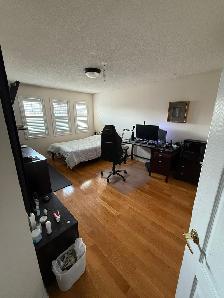 Furnished Large, Clean Bdrm for Rent. $950/month ALL INCLUSIVE - Photo 10