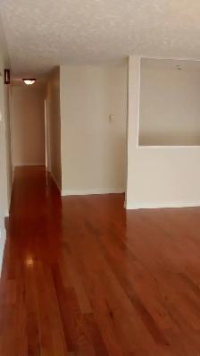 FOR RENT - Spacious 3 Bedroom Home in Lower Sackville - Photo 4