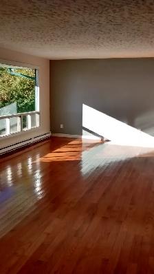 FOR RENT - Spacious 3 Bedroom Home in Lower Sackville - Photo 5