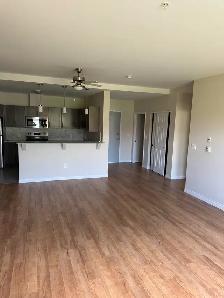 2 Bedroom with den Available Now or Later - Photo 3