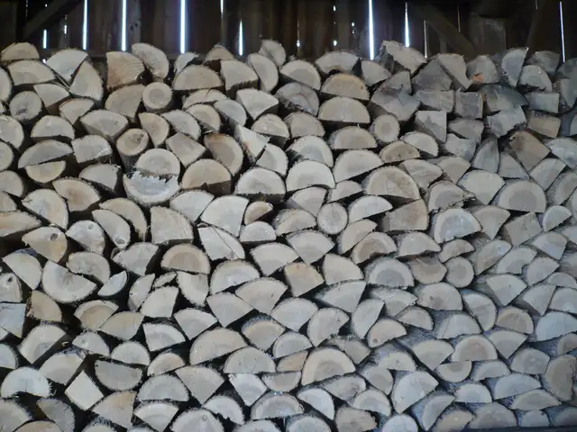 dry firewood