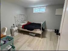 2 ROOMS FOR RENT-NEAR ALGONQUIN / CARLETON - Photo 2